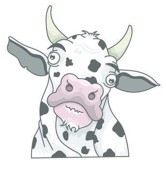 Vache laiti&egrave;re