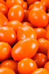 Close-up of fresh cherry tomatoes on white background