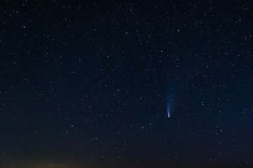 comet neowise in the starry night sky.