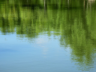 Fototapeta na wymiar abstract reflection of tree on water