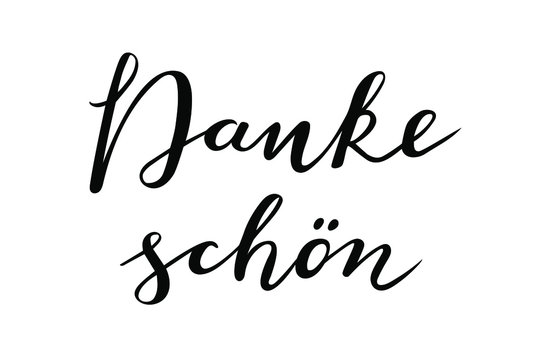 Danke Schon - Thank you in German language hand lettering vector