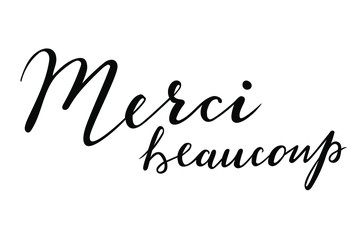 Fototapeta na wymiar Merci beaucoup - Thank you in French language hand lettering vector