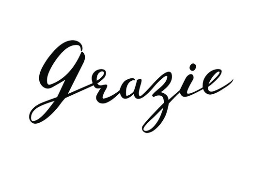 Grazie - Thank you in Italian language hand lettering vector