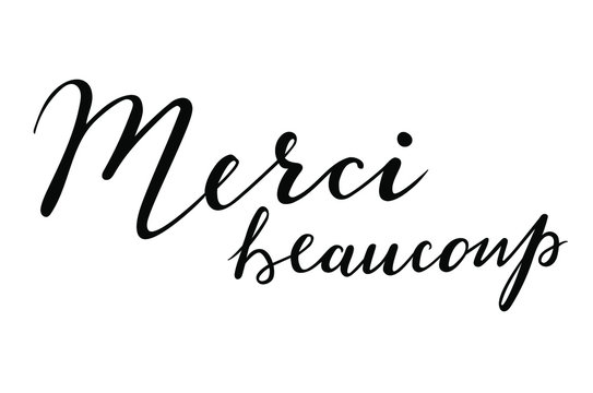 Merci beaucoup - Thank you in French language hand lettering vector
