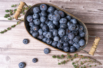 blueberries on the table and a sprig of thyme
