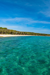 Croatia, Pag island. Adriatic seascape, pine woods and long beach from sea.