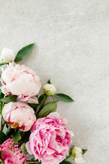 Beautiful pink peony flowers on gray stone table with copy space for your text. Flat style, top view