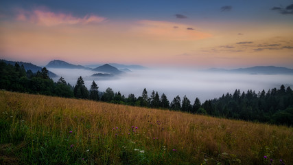 Fototapeta premium beautiful landscape with valleys, lakes and rivers in Pieniny mountains in fog