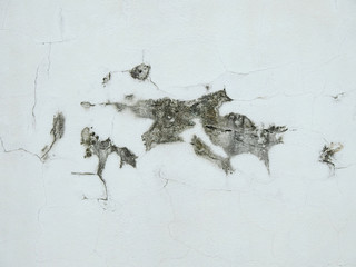 old white wall with mold texture