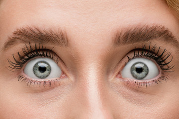 Naklejka premium Shocked. Close up of face of beautiful caucasian young woman, focus on eyes. Human emotions, facial expression, cosmetology, body and skin care concept. Well kept cheeks, narutal make up. Wellbeing.