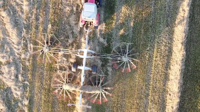 tractor with tedder collects hay in one line