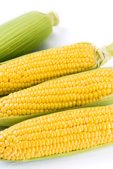 Sweet corn isolated on white background
