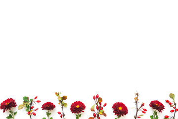 Autumn Background With Flowers - 371197033