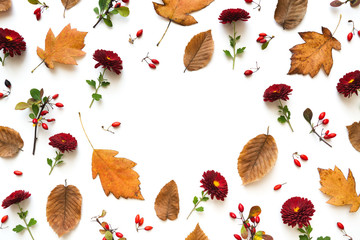 Autumn Background With Flowers - 371197416