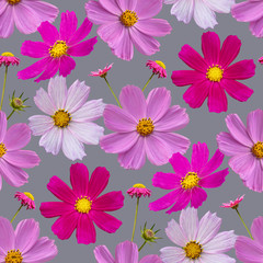 Obraz na płótnie Canvas Colorful floral seamless pattern with cosmos flowers collage on gray background. Stock illustration.