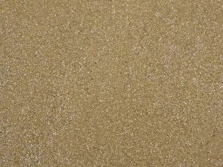 sandy beach with scrap of shells at low tide