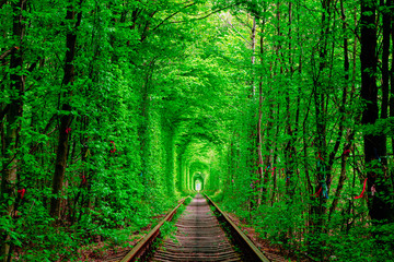 a railway in the spring forest. Tunnel of Love, green trees and the railroad