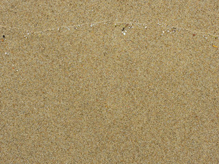 sandy beach with scrap of shells at low tide