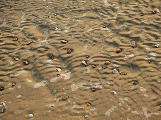 sand of the beach during low tide