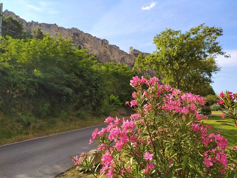 Forteresse m&eacute;di&eacute;vale de Mornas pr&egrave;s d'Orange en Provence et ses lauriers rose 