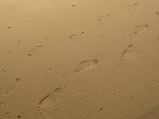 Fototapeta na wymiar Footprints on the sand at low tide