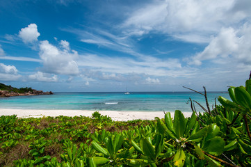 tropical beach with turquoise water