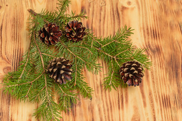 Top view of a spruce branch with four cones on a wooden surface