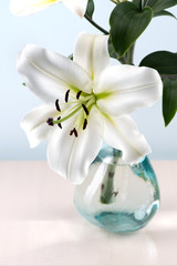 Bouquet of beautiful белых лилий in вазе on the table.