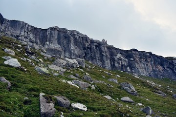 Fototapeta na wymiar rocky mountains with green grass in summer