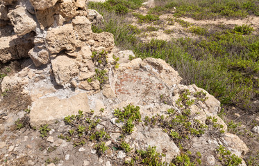 Remains  of the old ruins of the - Turris Slinarum - Salt Tower fortress near to Jisr Ez Zarqa arab village. Located near the Atlit city in northern Israel