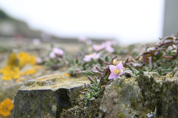 Erschwerte Bedingungen