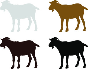 goat animals collection vector