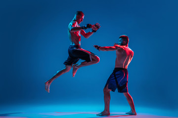 Fototapeta na wymiar In flight. MMA. Two professional fighters punching or boxing isolated on blue studio background in neon. Fit muscular caucasian athletes or boxers fighting. Sport, competition and human emotions, ad.