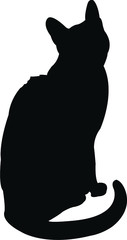 silhouette of a cat