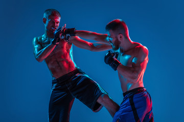 Tensioned. MMA. Two professional fighters punching or boxing isolated on blue studio background in neon. Fit muscular caucasian athletes or boxers fighting. Sport, competition and human emotions, ad.