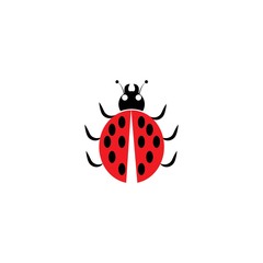 ladybug vector