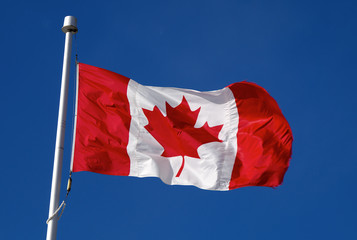 canadian flag waving in the wind