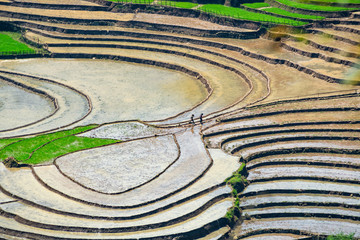 Beauty of rice terraces in Muong Hum, Lao Cai, Vietnam