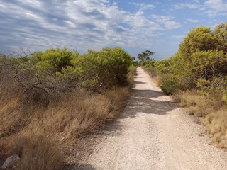 Camino en Gran Alacant
