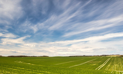 Obraz premium Rural landscape at spring, nature background