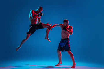 Fototapeta na wymiar In flight. MMA. Two professional fighters punching or boxing isolated on blue studio background in neon. Fit muscular caucasian athletes or boxers fighting. Sport, competition and human emotions, ad.