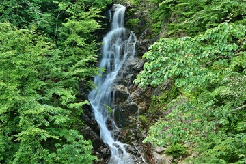 Obraz premium 東京・三頭山 三頭大滝から味わう清涼感