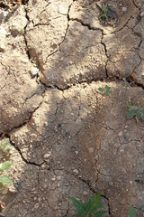 dry cracked earth texture background