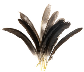 Natural bird feathers isolated on a white background. pile pigeon, chicken and goose feathers close-up. stack  bird feathers