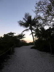 Beautiful sunset at Sanibel Island, Florida