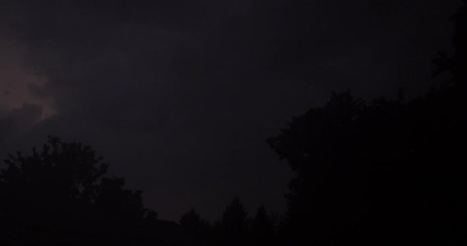Lightning flashes over tree tops