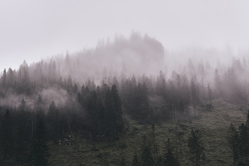 Tatra mountains landscapes