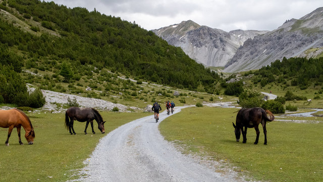 Das Val Mora im Schweizer Nationalpark Graub&uuml;nden