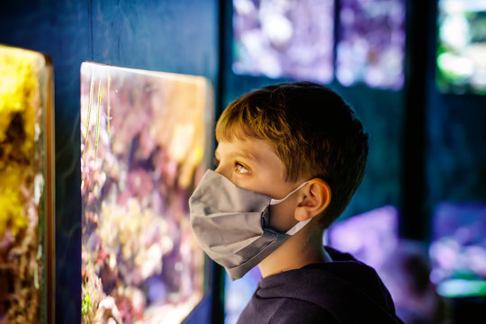 Kid boy wearing medical mask and visiting zoo aquarium. Happy baby child watching fishes and jellyfishes, corals. Fascinated child with deep sea wildlife. Family on staycation due corona virus time.