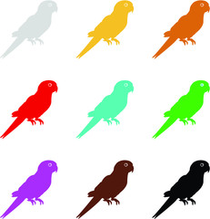 collection of parrot